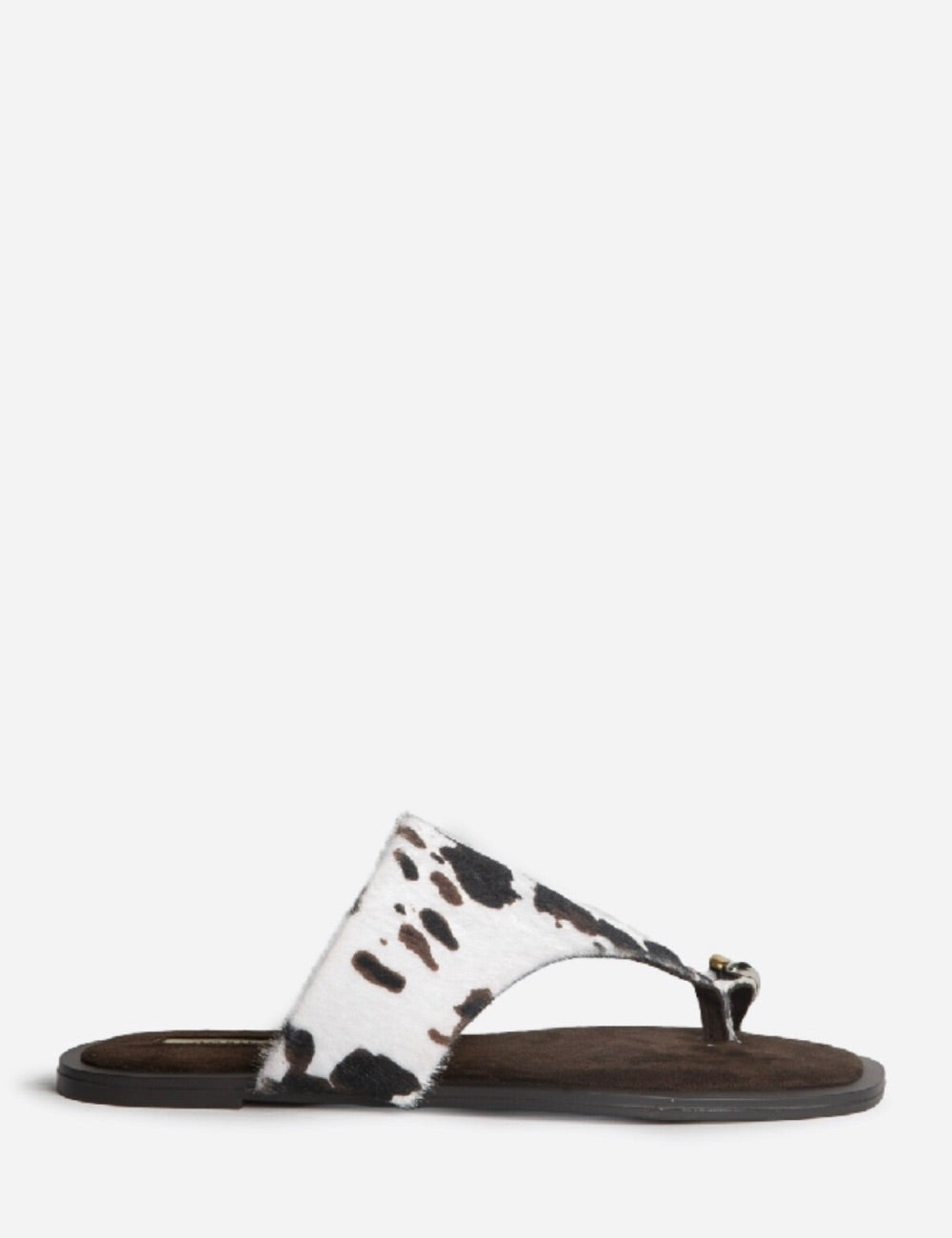Sandalo cow Pamplona