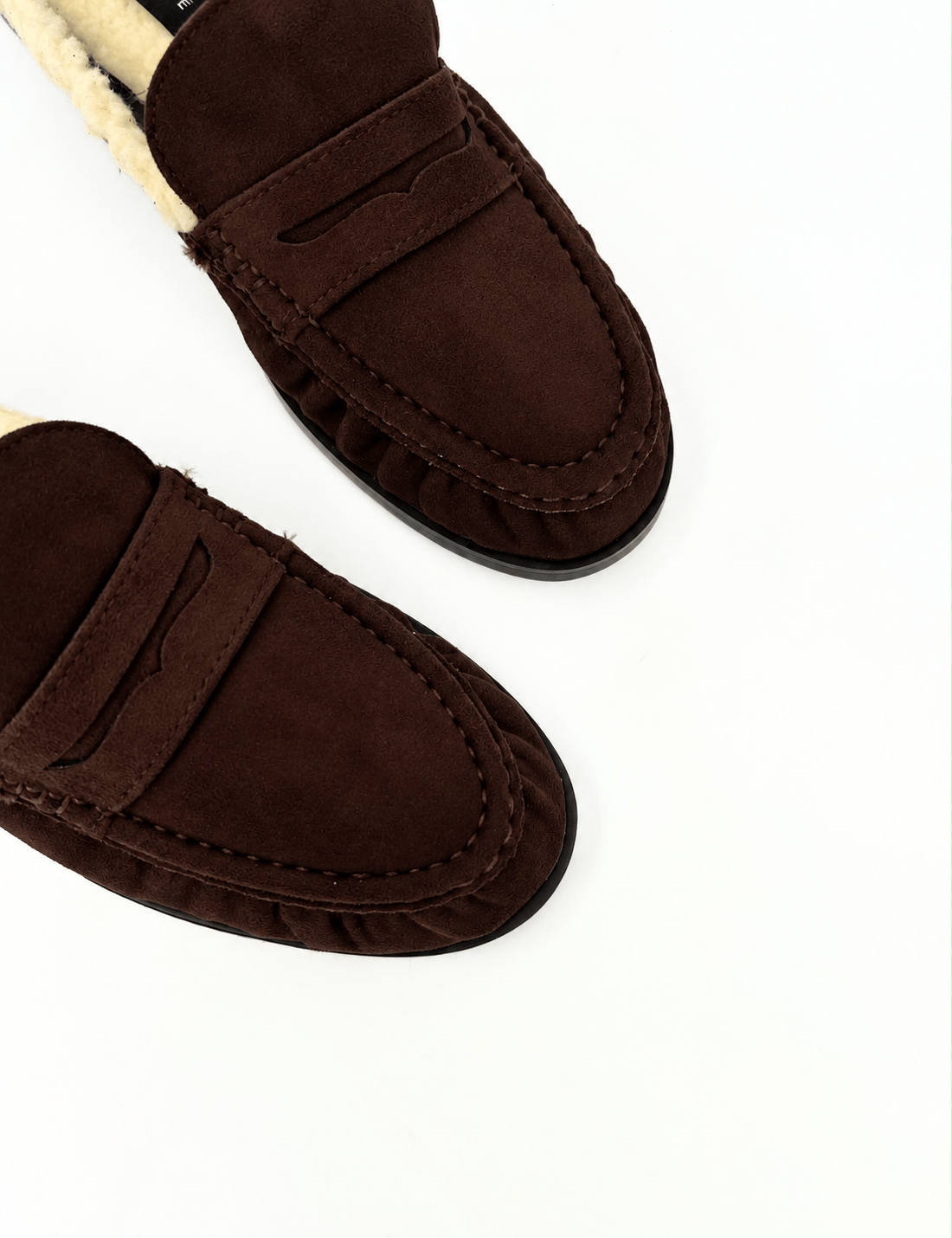 Sabot teddy Alaska