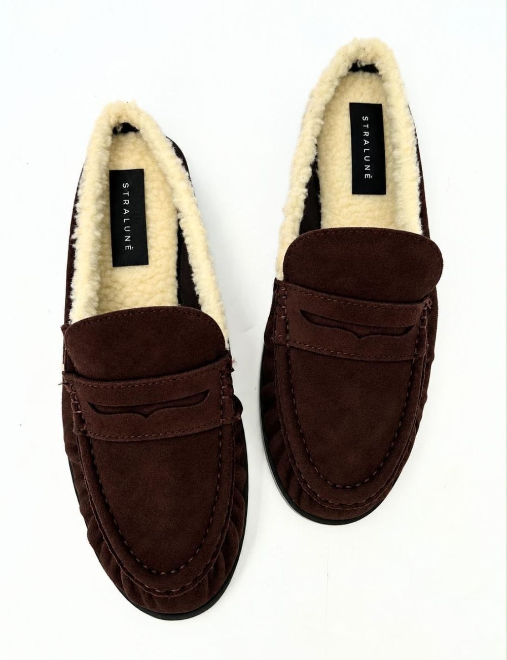 Sabot teddy Alaska