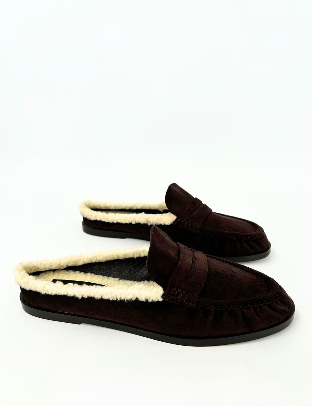 Sabot teddy Alaska