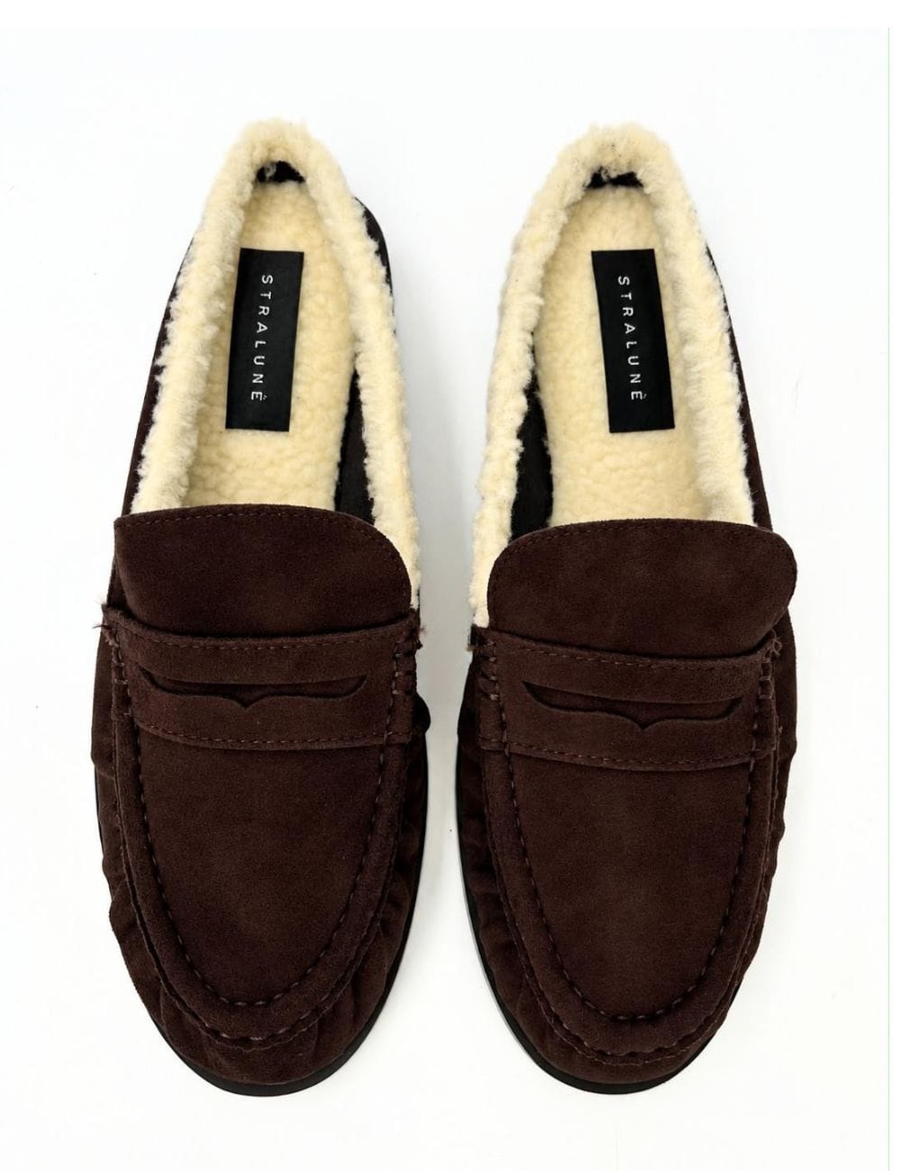 Sabot teddy Alaska