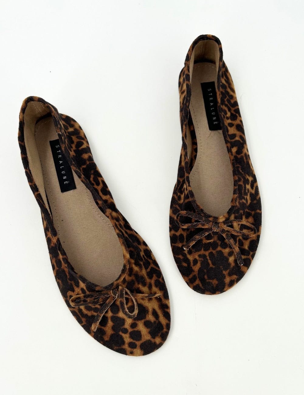 Ballerina leopard Anne