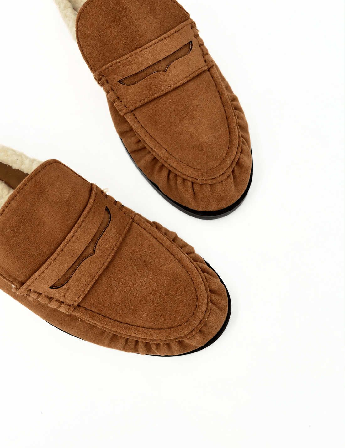 Sabot teddy Alaska