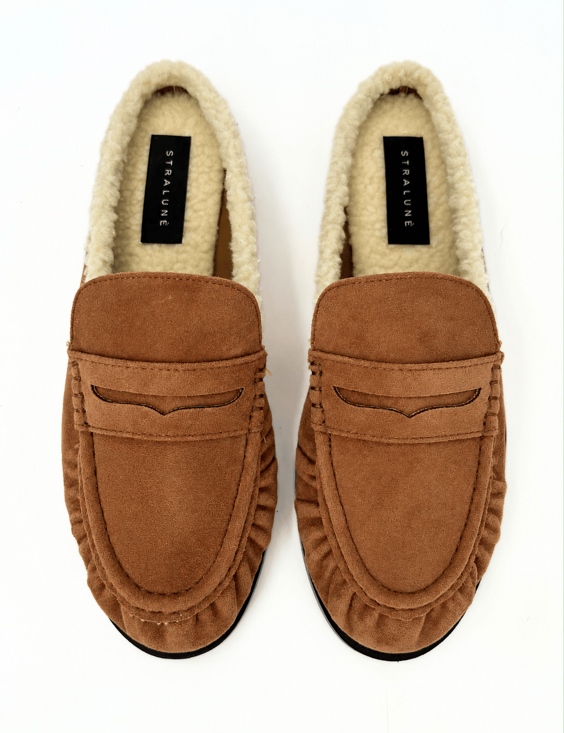 Sabot teddy Alaska