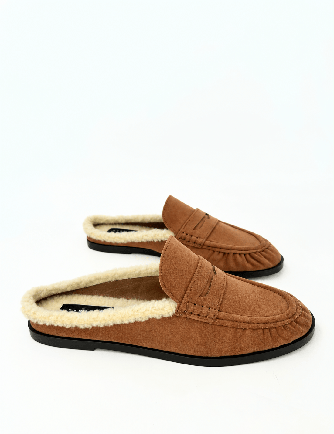 Sabot teddy Alaska