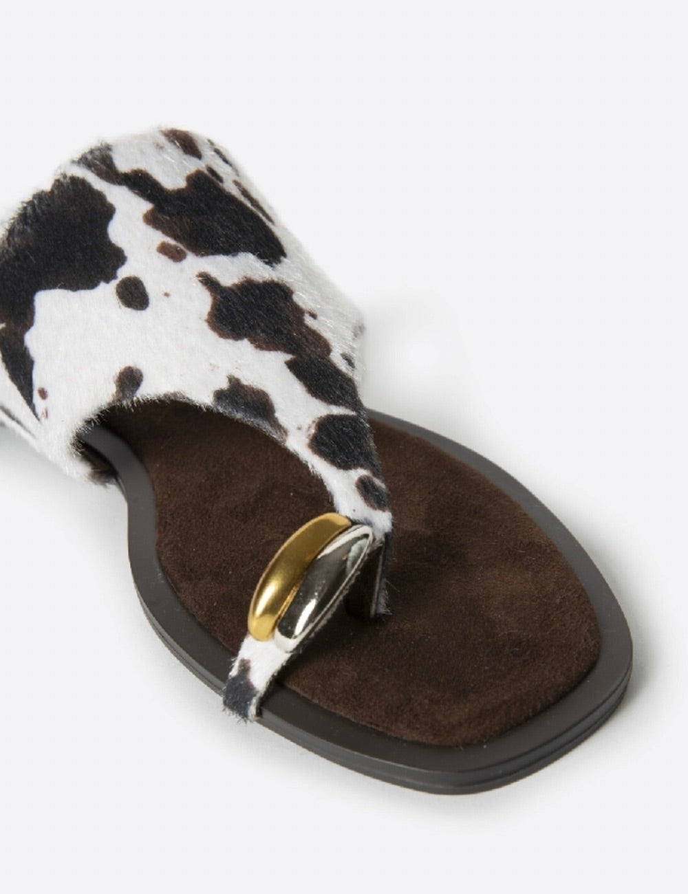 Sandalo cow Pamplona